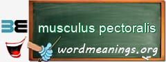 WordMeaning blackboard for musculus pectoralis